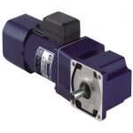 Micro AC induction gear motor