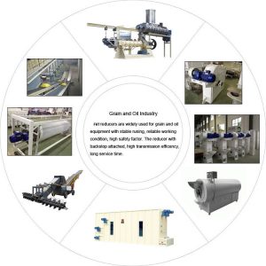 Speed reducer in Grain and oil seed processing industrial